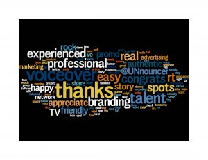 Twitter Wordle from voice over talent Doug Turkel
